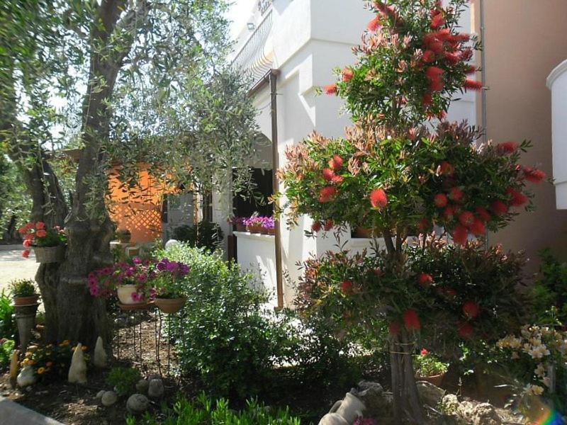 Residence Valleverde Vieste Dış mekan fotoğraf